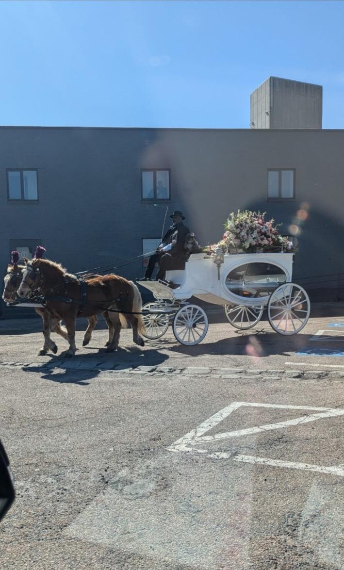 Horse-drawn carriage at Bella’s farewell